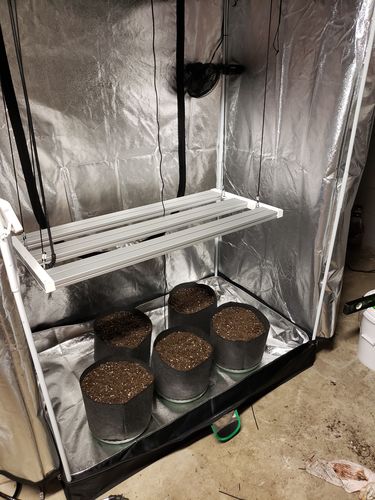 Customer photo review of Growcraft X3 – 330W LED Grow Light – DIY Kit **Ships Next Day**
