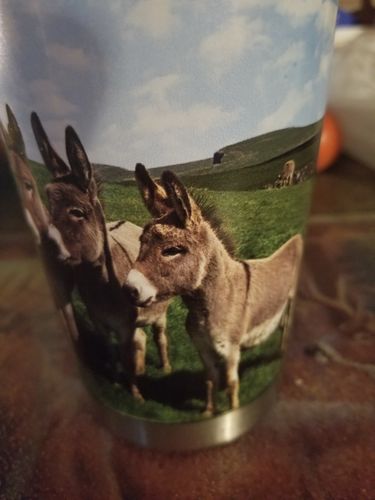 Customer photo review of Positive Donkey - Tumbler Cup