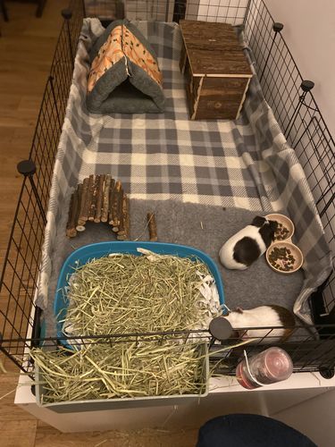 Customer photo review of Timothy Hay Box