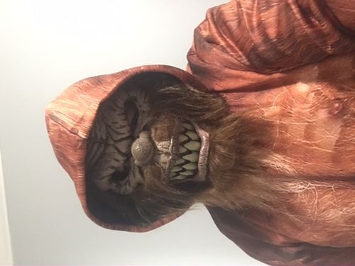 Customer photo review of Brown Bigfoot - 3D All Over Printed Shirt