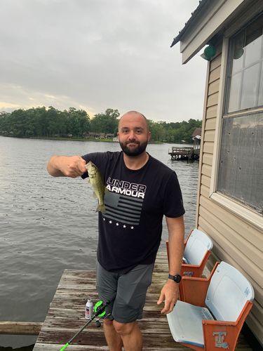 Customer photo review of Headbanger RockerHead 3-pack