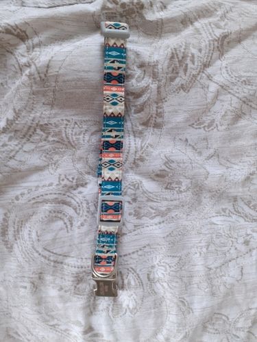 Customer photo review of Petyfy™ Personalized Dog Collar