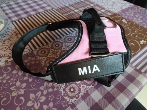 Customer photo review of Petyfy™ Personalized NO PULL Harness + Seat Belt For FREE