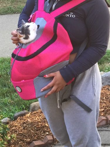 Customer photo review of Petyfy™ Dog Backpack + Lifetime Warranty!