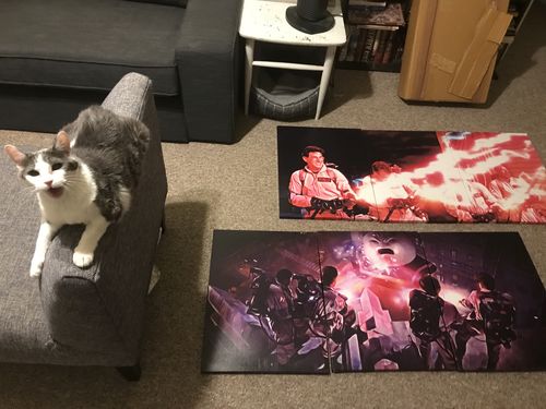 Customer photo review of 1984 Ghostbusters Roasted Canvas Sets