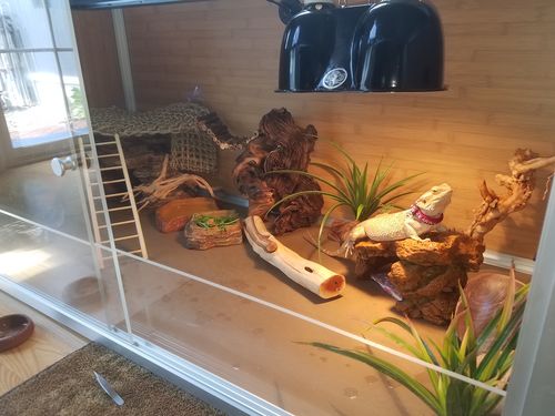 Customer photo review of 4'x2'x2' Wood Panel Reptile Enclosure by Zen Habitats