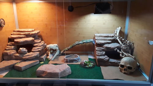 Customer photo review of 4'x2'x2' Wood Panel Reptile Enclosure by Zen Habitats