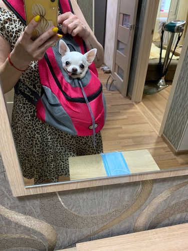 Customer photo review of Outdoor Dog Carrier Bag