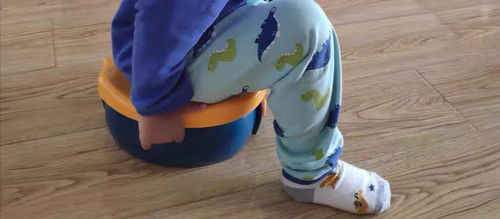 Customer photo review of BANANA TOILET™ - Toilettes pliantes banane pour enfant + 20 sacs OFFERTS