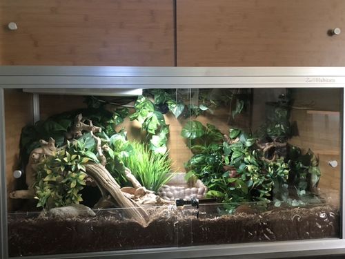 Customer photo review of Bio-Basin for 4'x2' Zen Habitats Base Enclosures