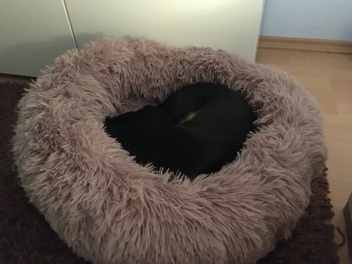 Customer photo review of FluffyBed™ - Gemütliches Haustierbett
