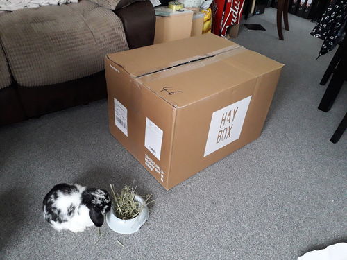 Customer photo review of Timothy Hay Box