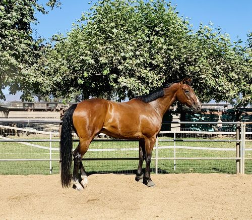 Customer photo review of Joint Flex » 1 Gallon Bottle » Priority Shipping