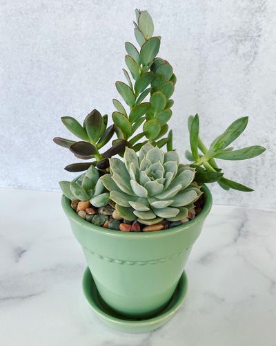 Customer photo review of White Marble™