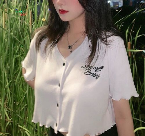 Customer photo review of Embroidered v-neck short sleeve top