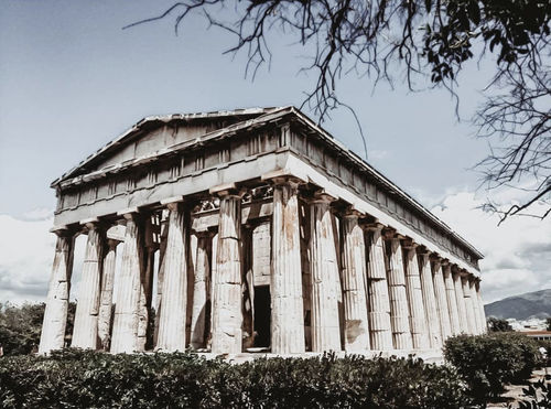 Customer photo review of PARIS