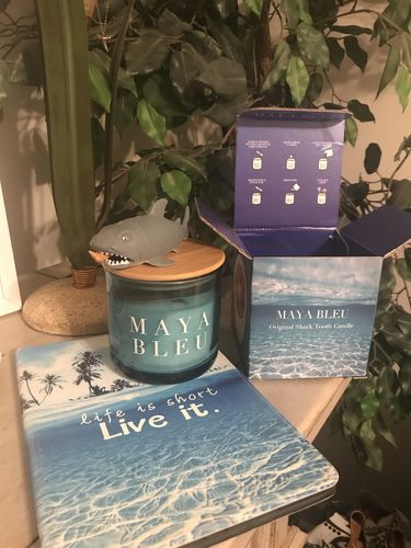 Customer photo review of Original Shark Tooth Candle BLEU