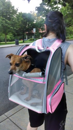 Customer photo review of Cat Pet Carrier Fully Ventilated Style Backpack