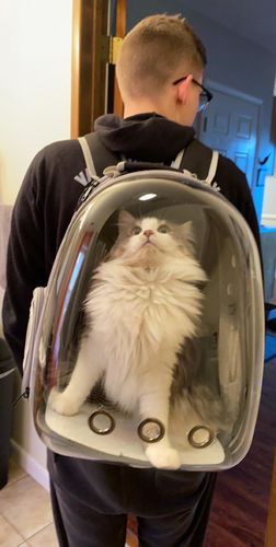 Customer photo review of Cat Bubble Backpack with Clear Window for Hiking-Expandable with FREE MINI FAN