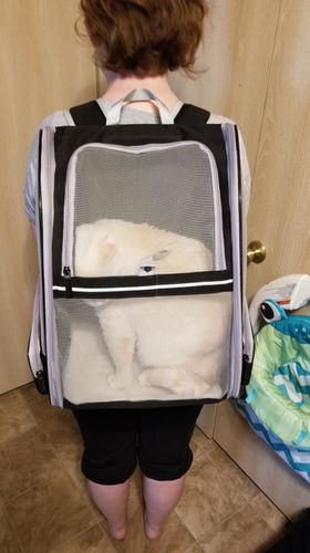Customer photo review of Cat Pet Carrier Fully Ventilated Style Backpack