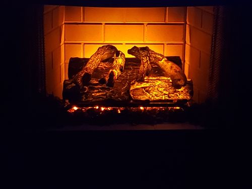 Customer photo review of Modern Flames 20'' Sunset Charred Oak Electric Log Insert - No Heat