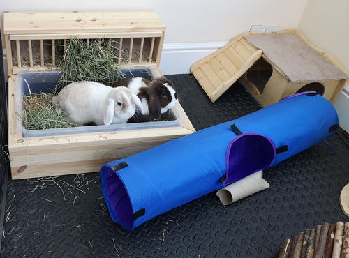 Customer photo review of 50/50 Hay Box