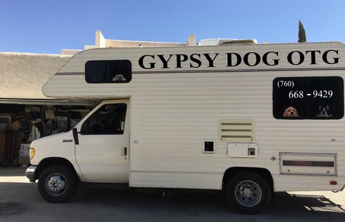Customer photo review of Can You See Me Now - Shih Tzu Car/ Door/ Fridge/ Laptop Sticker V1