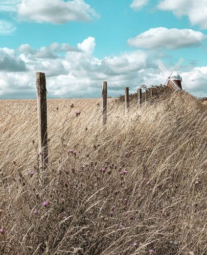 Customer photo review of TROPICAL