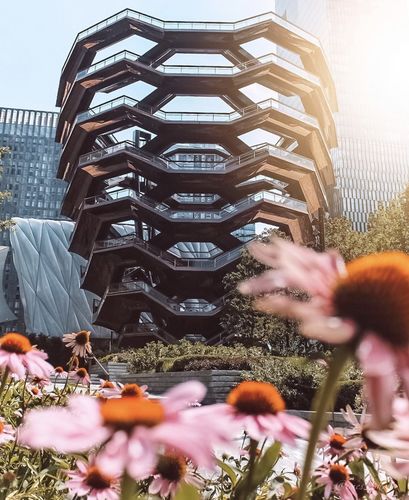 Customer photo review of CALIFORNIA