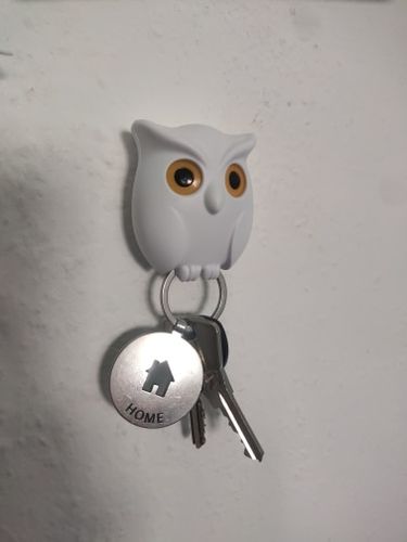 Customer photo review of Porte Clé Mural Hibou