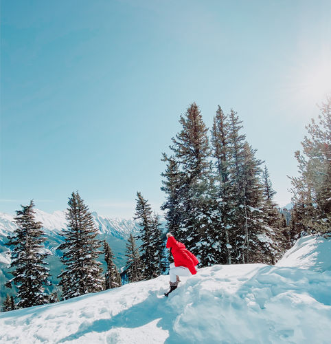 Customer photo review of CHRISTMAS