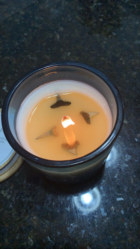 Customer photo review of Original Shark Tooth Candle BLCK