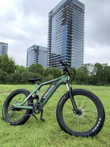 Customer photo review of VTUVIA SN100 750W 26'' Fat Tire 48V 13AH Electric Mountain Bike