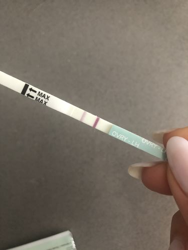 Customer photo review of Ovulation Test Strips