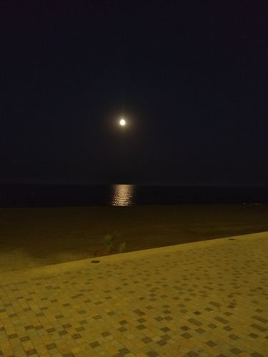 Customer photo review of Detox Box (Gummies & Teas)