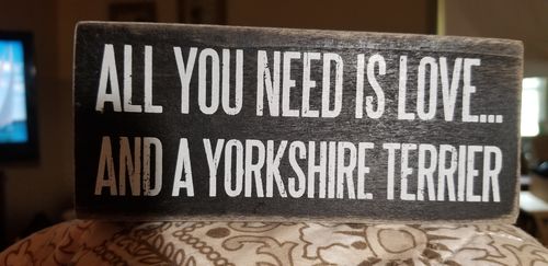 Customer photo review of All You Need Is Love and A Yorkshire Terrier Box Sign