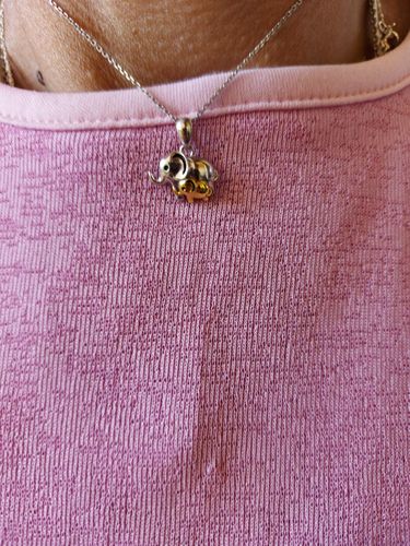 Customer photo review of Pendentif Éléphant Double