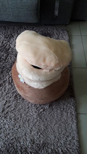 Customer photo review of Cat Igloo Insulated House