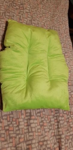 Customer photo review of Cat Igloo Insulated House