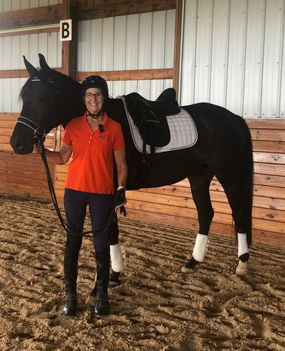 Customer photo review of Dressage Debonaire Saddle