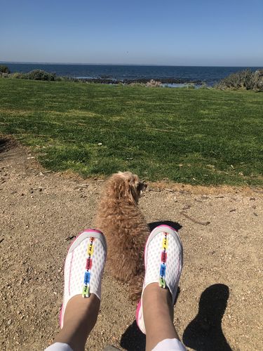 Customer photo review of Aleader Women's Xdrain Cruz 1.0 Water Shoes