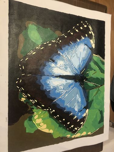 Customer photo review of Malen nach Zahlen - 2 Überraschungsbilder