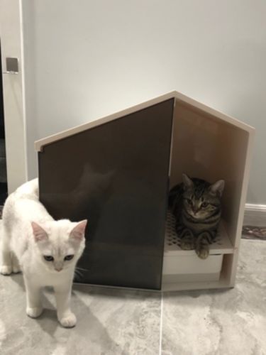 Customer photo review of Furrytail XL Semi-Closed Glow House Cat Litter Box with Scoop