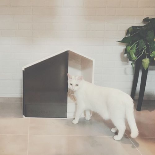 Customer photo review of Furrytail XL Semi-Closed Glow House Cat Litter Box with Scoop