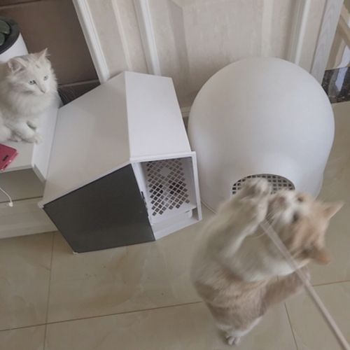 Customer photo review of Furrytail XL Semi-Closed Glow House Cat Litter Box with Scoop