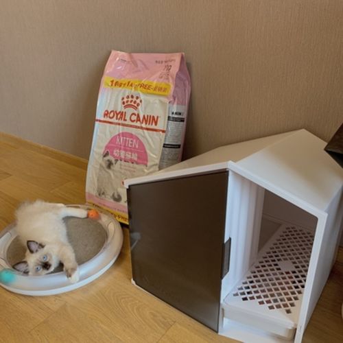 Customer photo review of Furrytail XL Semi-Closed Glow House Cat Litter Box with Scoop