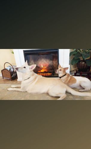 Customer photo review of Dimplex Christina Electric Fireplace Mantel White | Revillusion 30'' Firebox Herringbone