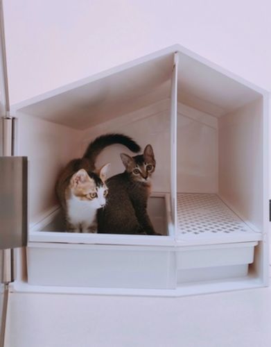 Customer photo review of Furrytail XL Semi-Closed Glow House Cat Litter Box with Scoop