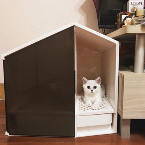 Customer photo review of Furrytail XL Semi-Closed Glow House Cat Litter Box with Scoop