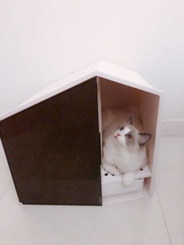 Customer photo review of Furrytail XL Semi-Closed Glow House Cat Litter Box with Scoop